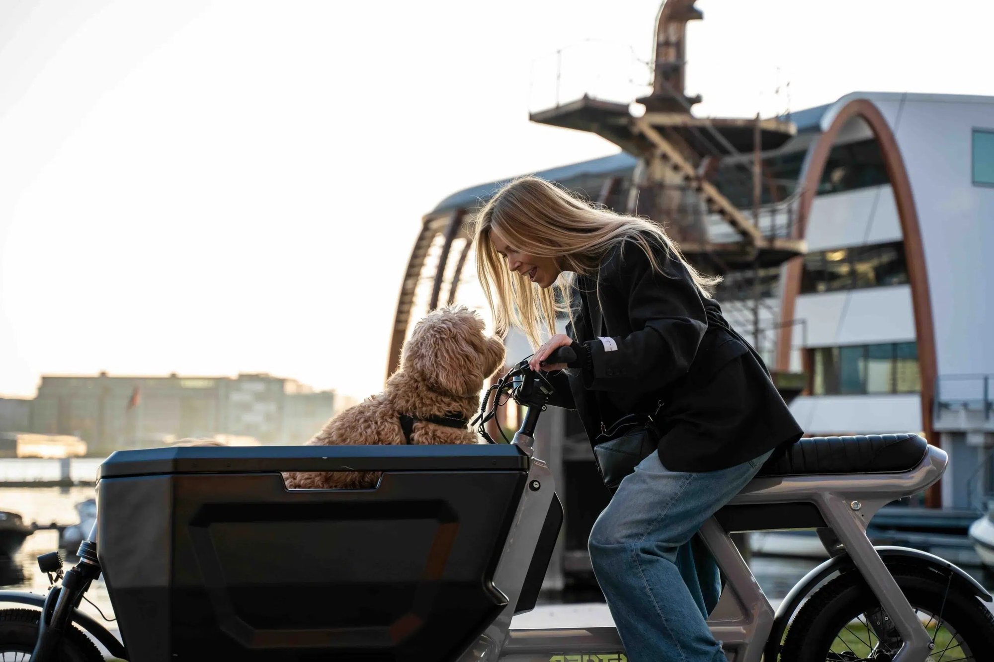 STOER CargoX met hond in de bak